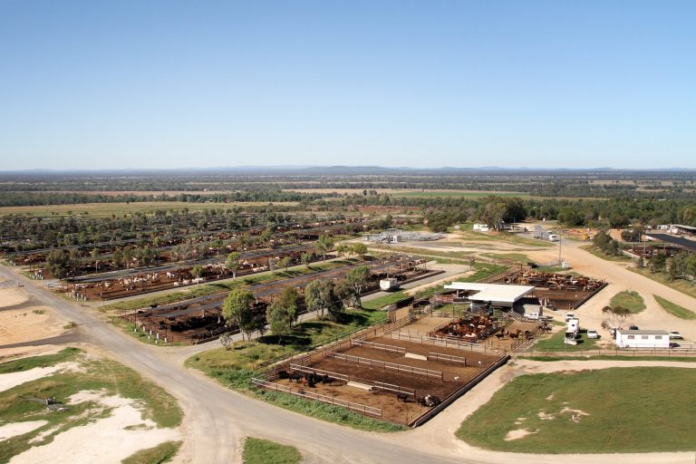 Yarranbrook Feedlot Expansion - project figure 1